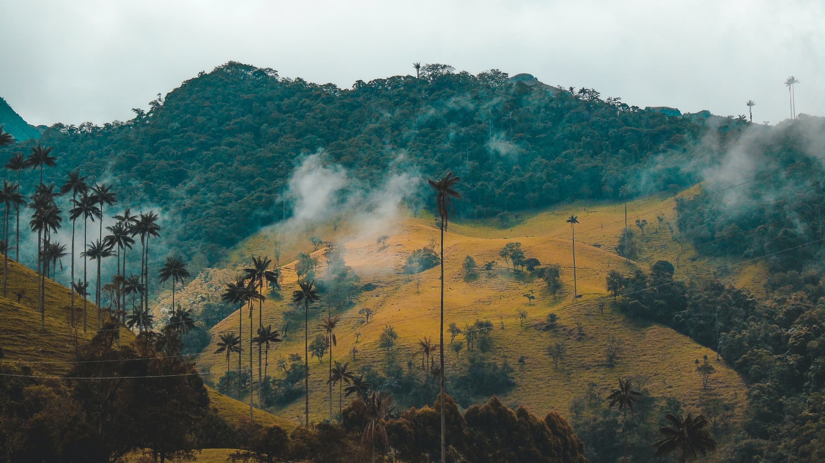 Cover image for the Colombia Land Registry case study